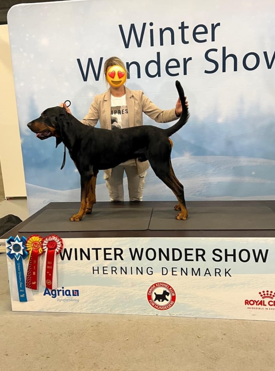 Winter show winder Herning og nu som Dansk Champion